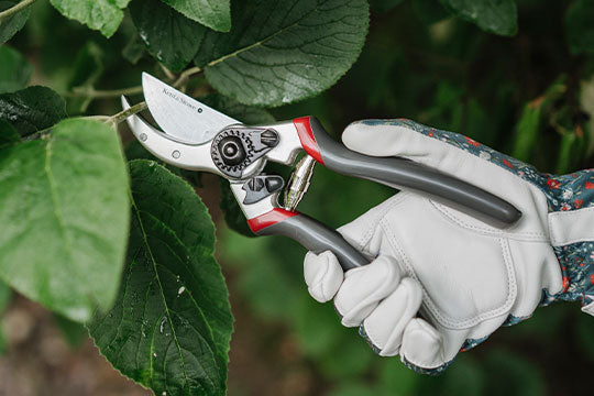 Cutting & Pruning Tools