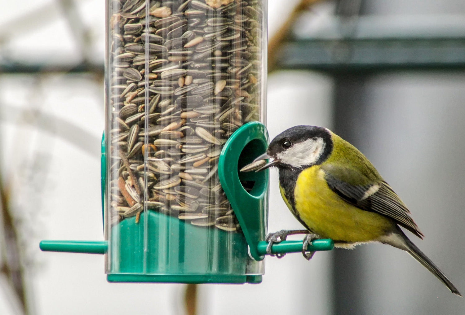 Bird Tables & Feeding Stations