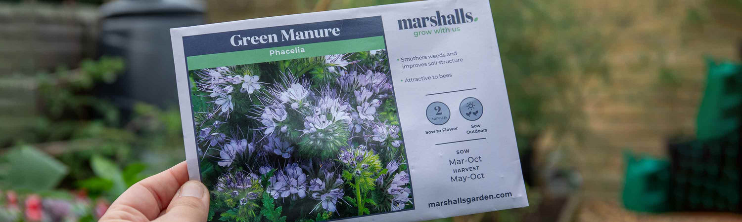 Green Manure Seeds