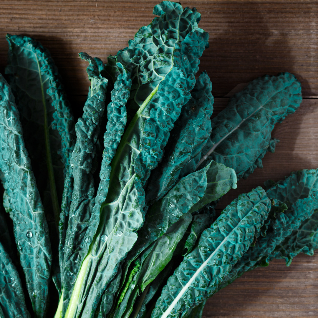Kale & Kohl Rabi Seeds