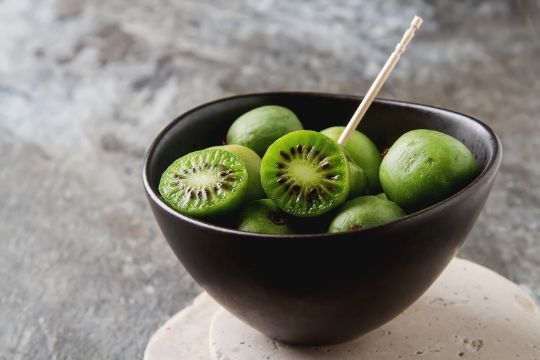 Kiwi Plants