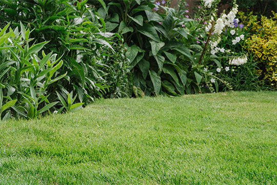 Lawn Care Accessories & Tools