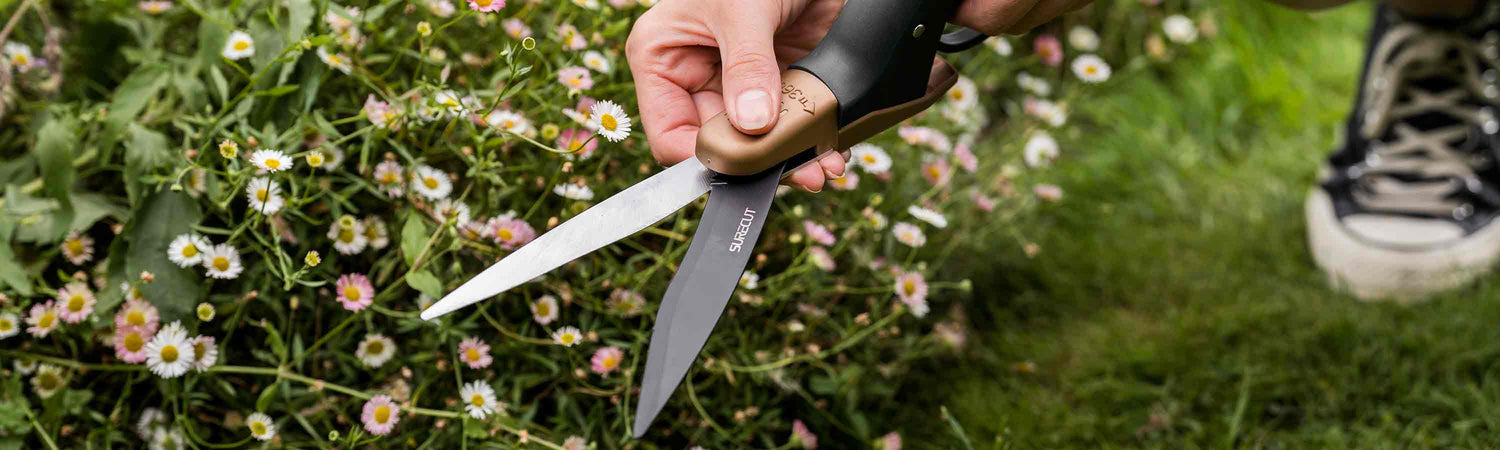 Lawn Care Tools