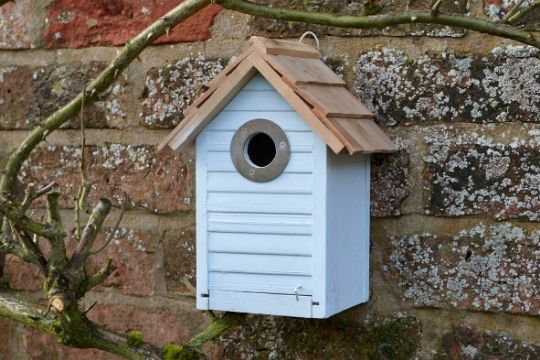 Bird Nest Boxes