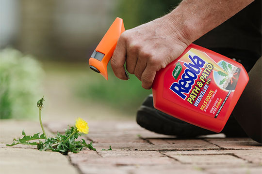 Path & Patio Weedkillers