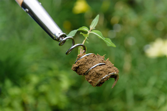 Weed Control Tools