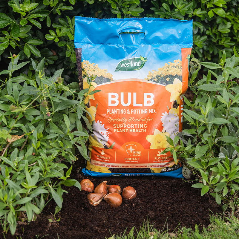 Westland Bulb Planting Compost