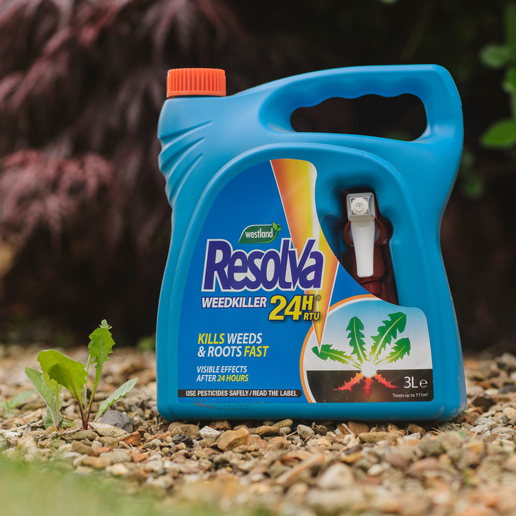 Resolva 24H Ready To Use Weedkiller