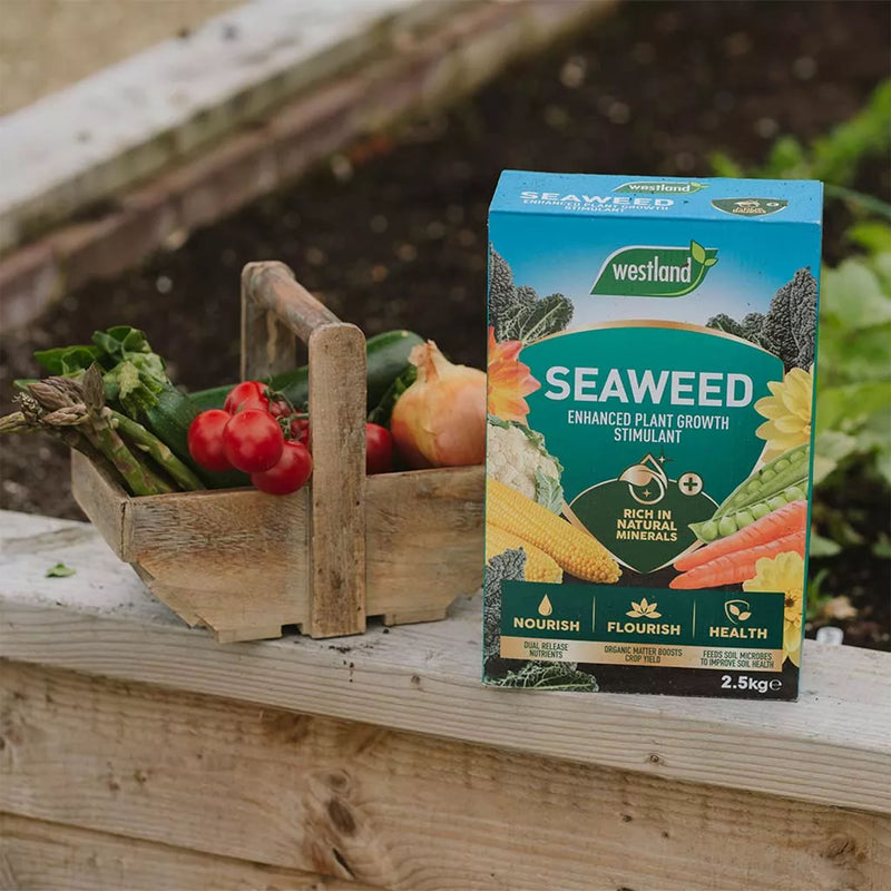 Westland Seaweed Enhanced Plant Food