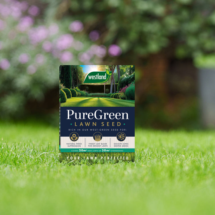 Westland PureGeen Lawn Seed