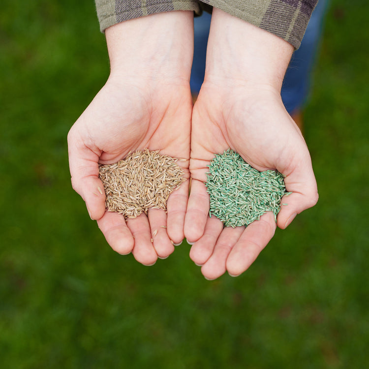 Westland PureGeen Lawn Seed