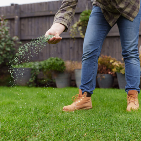 Westland PureGeen Lawn Seed