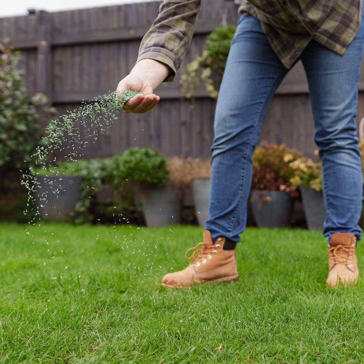Westland PureGeen Lawn Seed