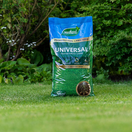 Westland Professional Lawn Seed Universal