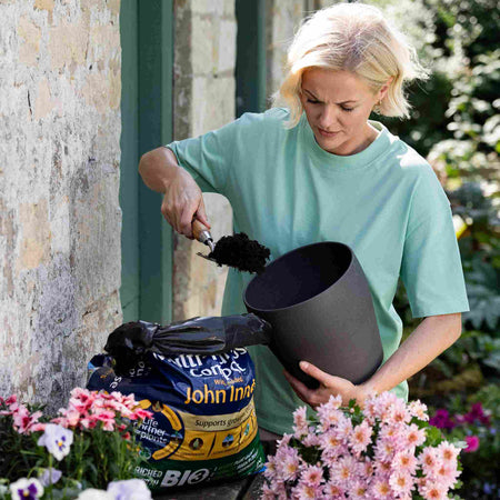 Westland Multi-Purpose Compost with John Innes