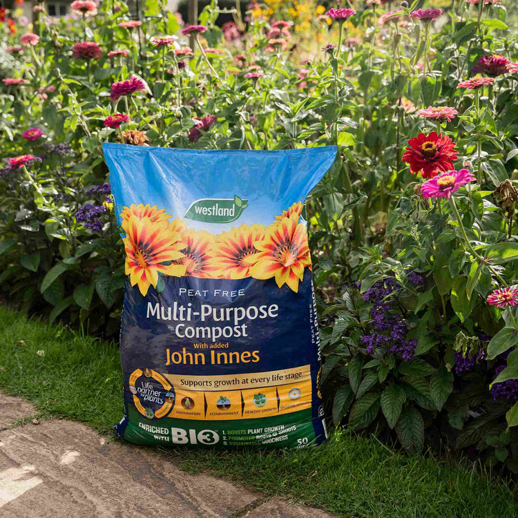 Westland Multi-Purpose Compost with John Innes