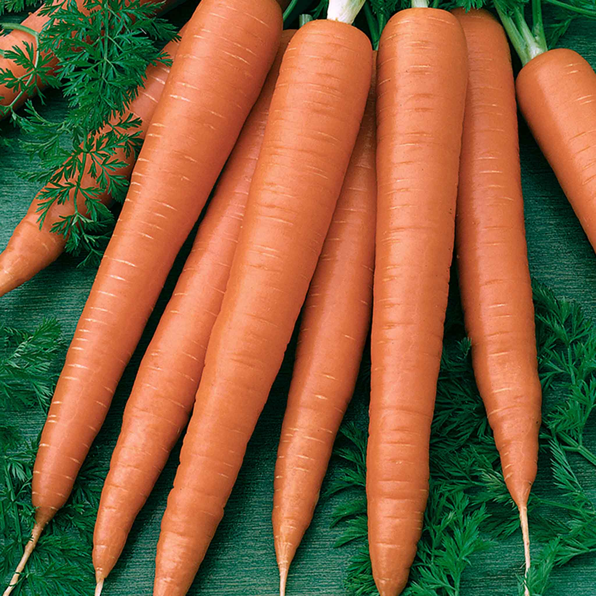 Carrot Seeds Sweet Candle