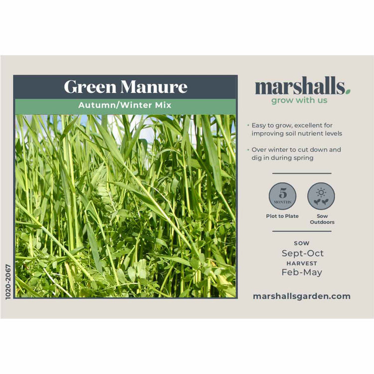 Green Manure Seeds Autumn/Winter Mix