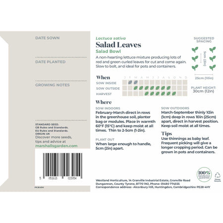 Salad Leaves Seeds 'Salad Bowl'
