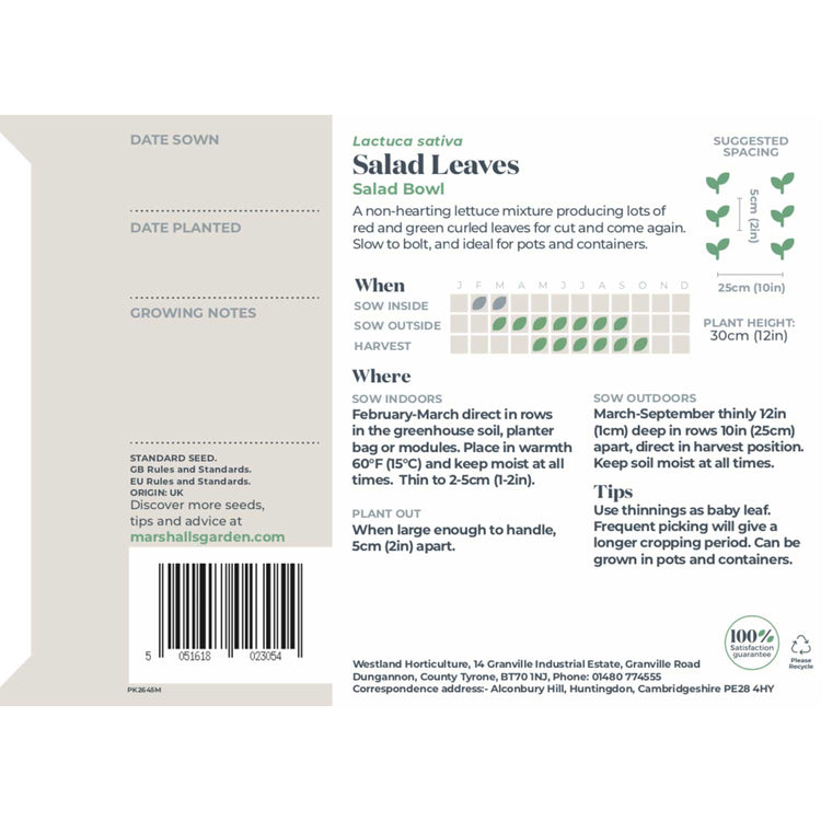 Salad Leaves Seeds 'Salad Bowl'