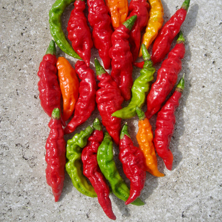 Chilli Pepper Seeds 'Fruity Volcano'