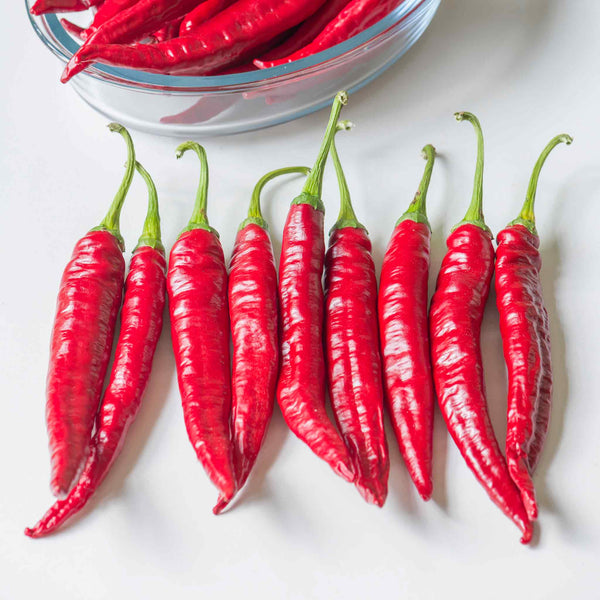 Chilli Pepper Seeds 'Sigaretta di Bergamo'