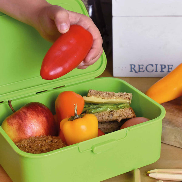 Sweet Pepper Plant 'Snackbite Red'