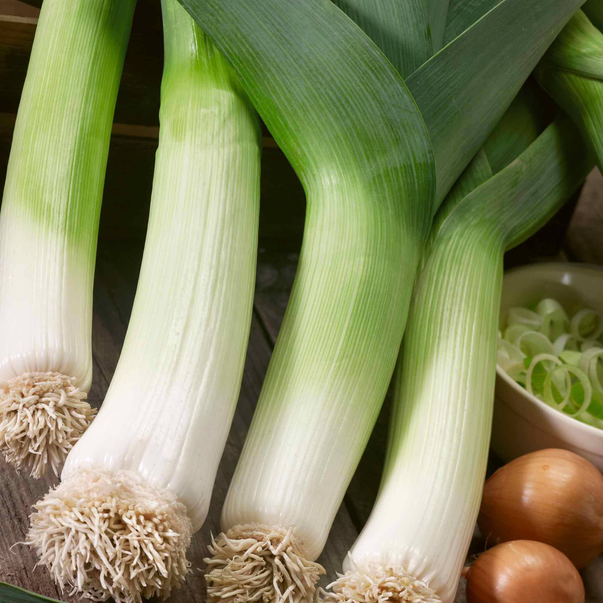 Leek Seeds Terminal