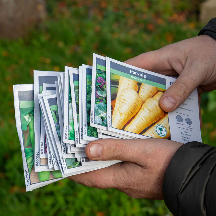 Allotment Collection Seeds