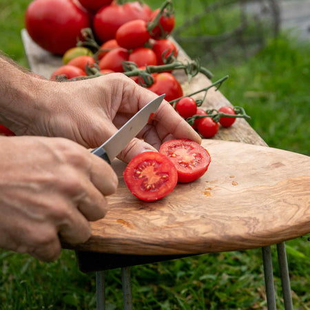 Tomato Seeds 'Premio' F1