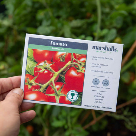 Tomato Seeds 'Premio' F1