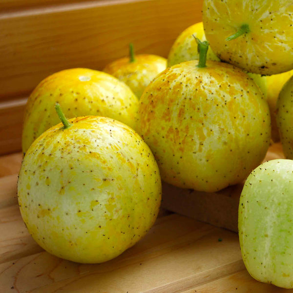 Cucumber Seeds 'Lemon'