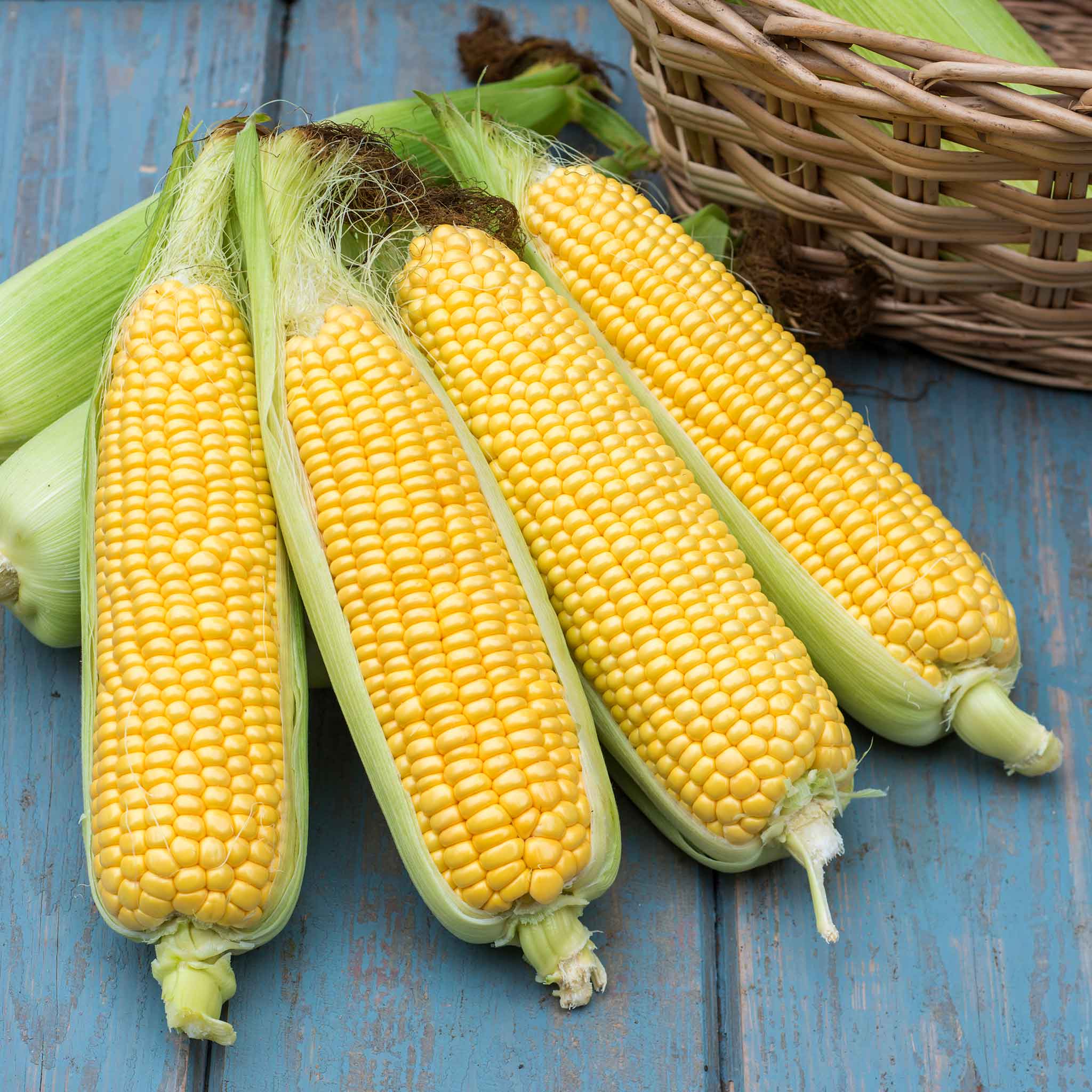 Buy Sweetcorn Seeds Online | Sweetcorn Seeds For Sale | Marshalls Garden
