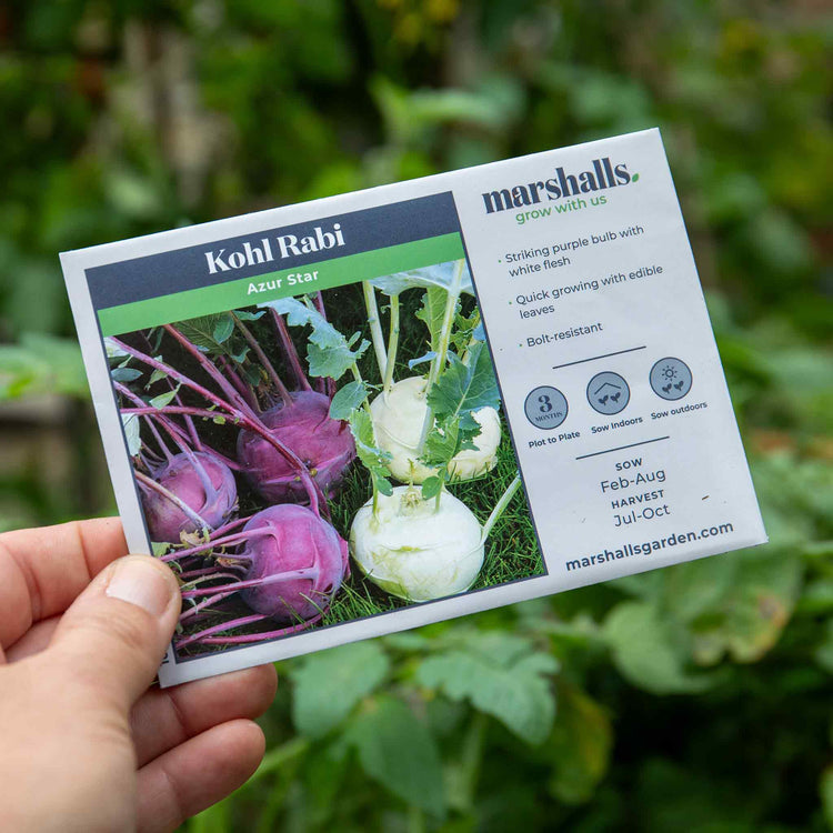 Kohl Rabi  Seeds 'Azure Star'