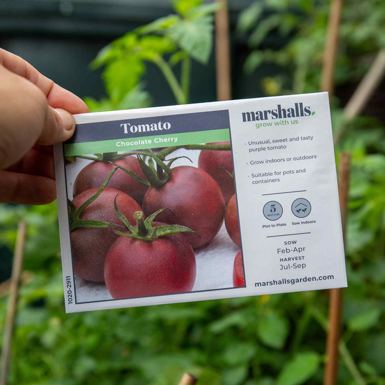 Tomato Seeds 'Chocolate Cherry'