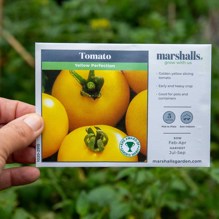 Tomato Seeds 'Yellow Perfection'