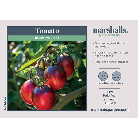 Tomato Seeds 'Black Moon'