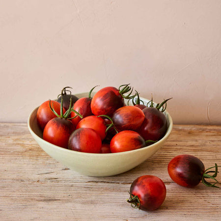 Cordon Tomato Plant 'Black Moon'