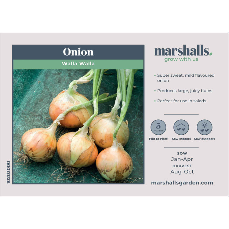 Onion Seeds 'Walla Walla'