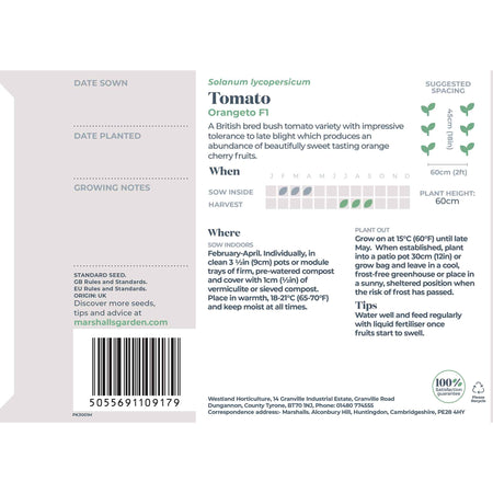 Tomato Seeds 'Orangeto'