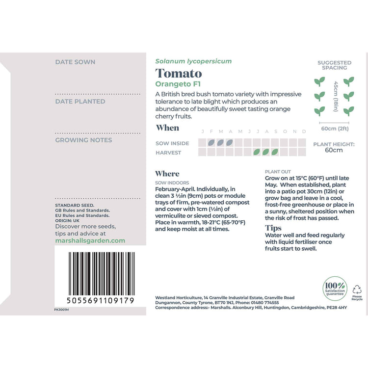 Tomato Seeds 'Orangeto'