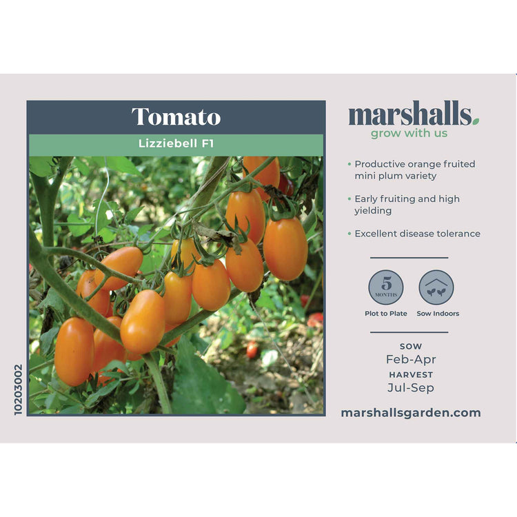 Tomato Seeds 'Lizziebell'