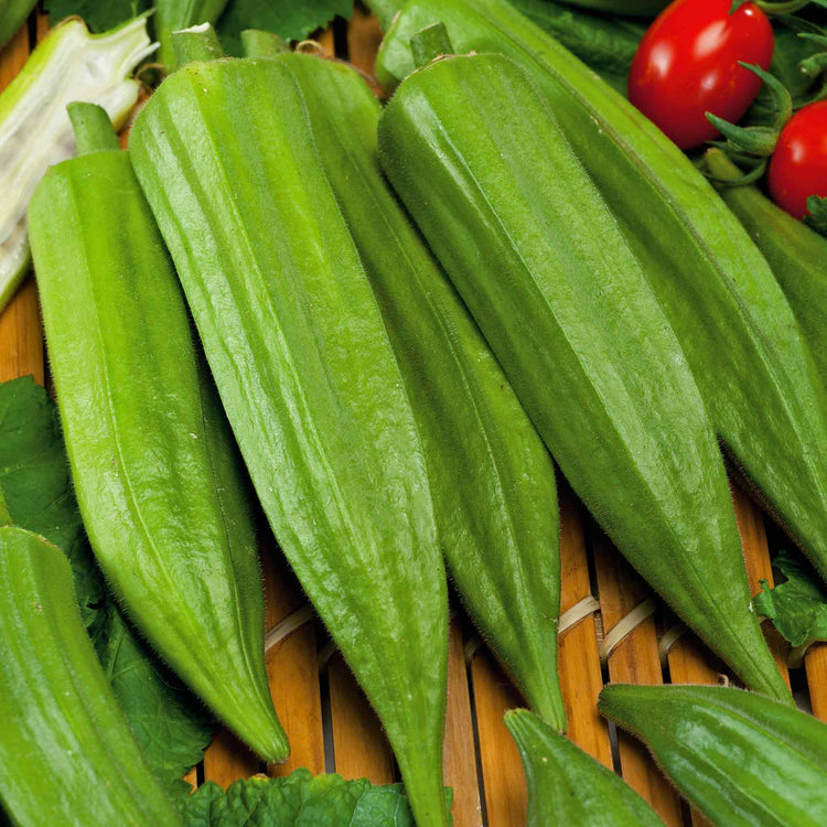 Okra Seeds 'Super Bhindi'