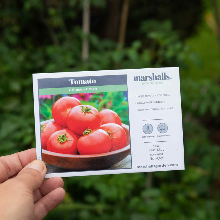 Tomato Seeds 'Crimson Crush'