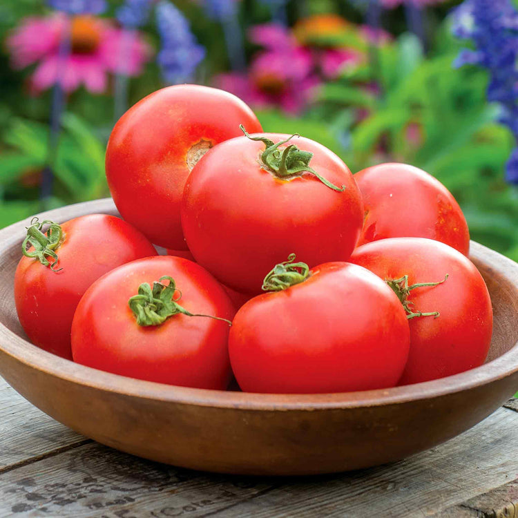 garden crush seeds Tomato Seeds 'Crimson Crush'