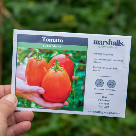 Tomato Seeds 'Super Mama'