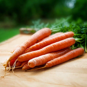 Carrot Seeds 'Ibiza' | Buy Carrot Seeds Online | Carrot Seeds for 