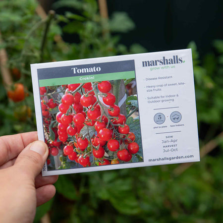 Tomato Seeds 'Crokini'