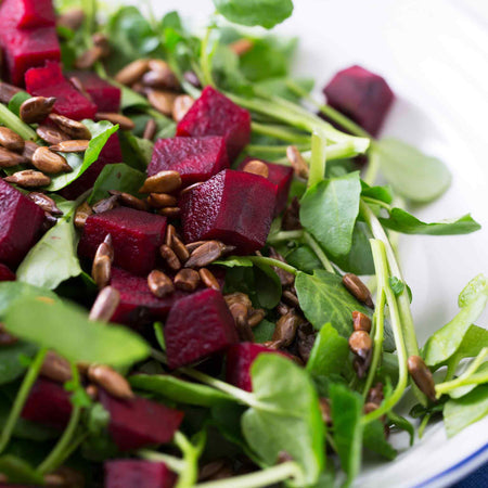 Beetroot Plant 'Boston'