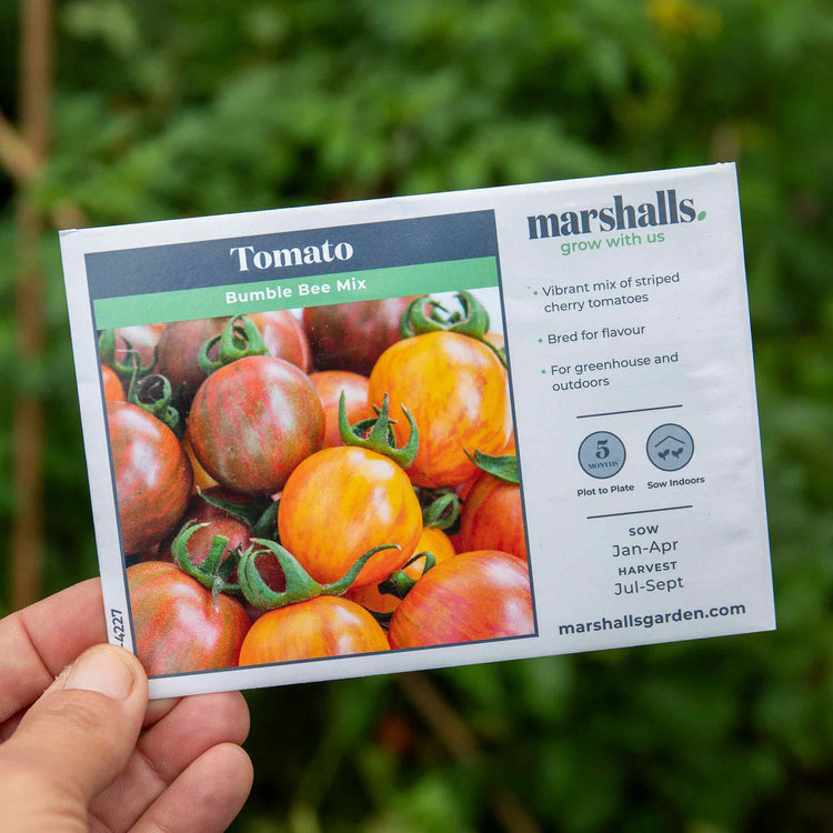 Tomato Seeds 'Bumble Bee Mix '